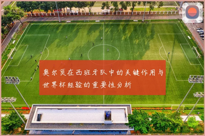 奥尔莫在西班牙队中的关键作用与世界杯经验的重要性分析